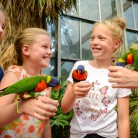 Slide 2 - Vogelpark Avifauna