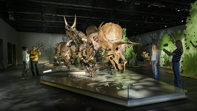Naturalis Dino