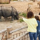 Slide 1 - Eindhoven Zoo