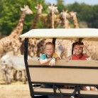 Slide 3 - Safaripark Beekse Bergen