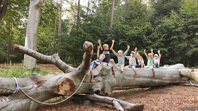 Vormingscentrum Malle Boomstam