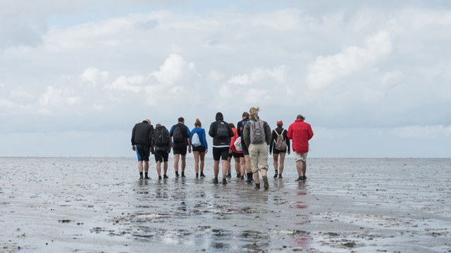 Dijkstra Wadlooptochten groep