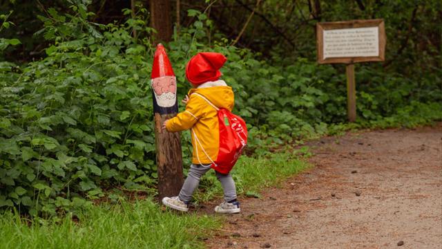 Kabouterbos Kabouterpad