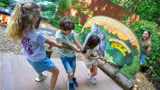 Apenheul Touwtrekken v2