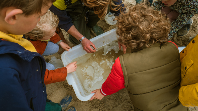 Natuurschool bak