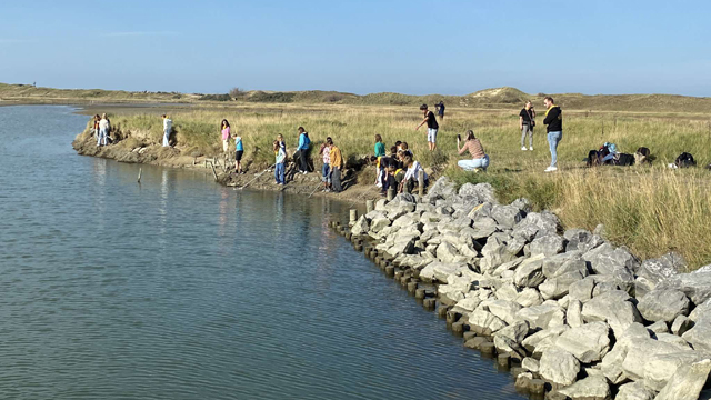 Zwin Natuurpark Waterkant v2