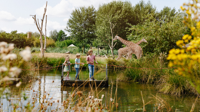 Zooparc vlot v2