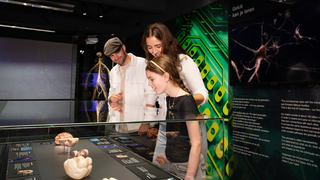 Body Worlds Amsterdam museum