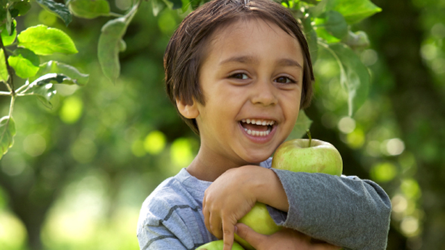 Boerderijeducatie jongetje met appels