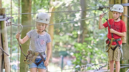 Fun Forest Header