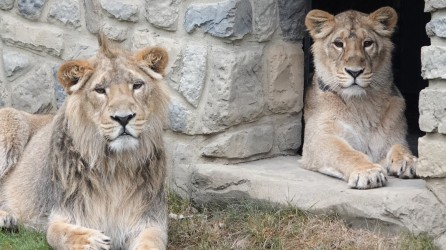 Zoo Osnabrueck header