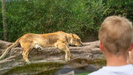 GaiaZOO Header