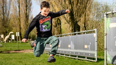 Dino Experience header springen v2