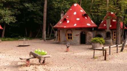 Grote Kabouterbos header overzicht