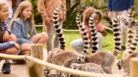 AquaZoo Header 1