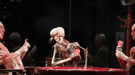 Body Worlds Header v2