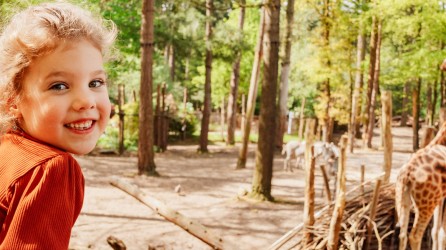 Dierenpark Amersfoort header giraffe