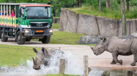 Wildlands header neushoorns safaritour