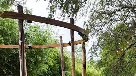 2025 10 almere jungle woodhenge v2