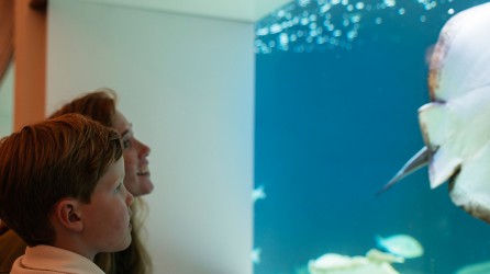 2026 schoolreis dierentuin artis aquarium amsterdam