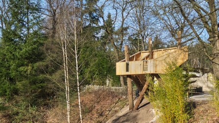 2026 schoolreis apenheul uitkijktoren