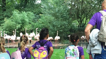 2026 02 column vereniging dierentuinen