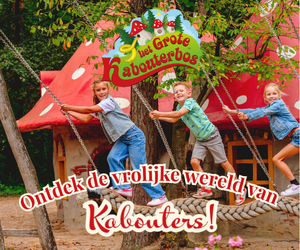 2026 Grote Kabouterbos polaroid
