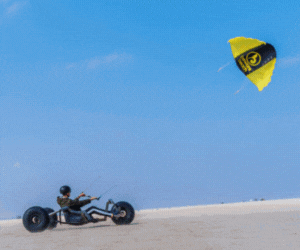 Beware Beach banner 300x250
